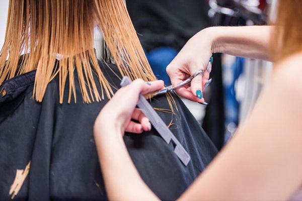 Women getting a haircut by a hairstylist in a salon